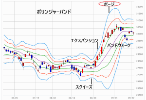 ボージの例