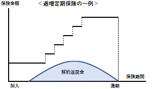 逓増定期保険の例