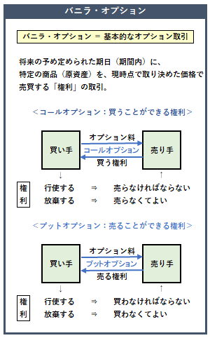 バニラ・オプションの概要