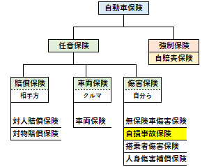 自損事故保険