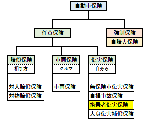 搭乗者傷害保険