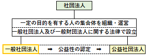 一般社団法人の概要