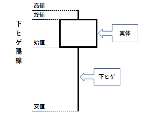 下ヒゲ陽線